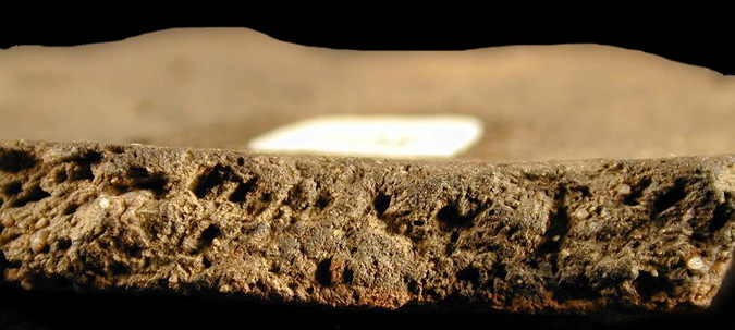 Sullivan Cove sherd cross-section showing paste with holes where the shell temper leached out, from the Hallowing Point site 18CV31/2.